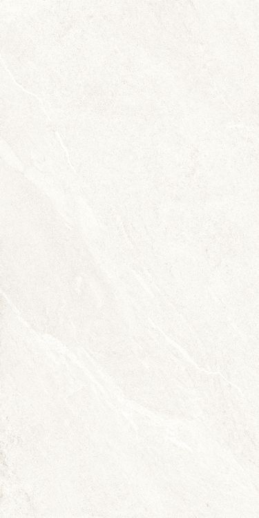 Dhara White Matte 24 x 48